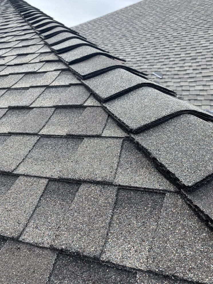 Slide of Apple Tree Roofing