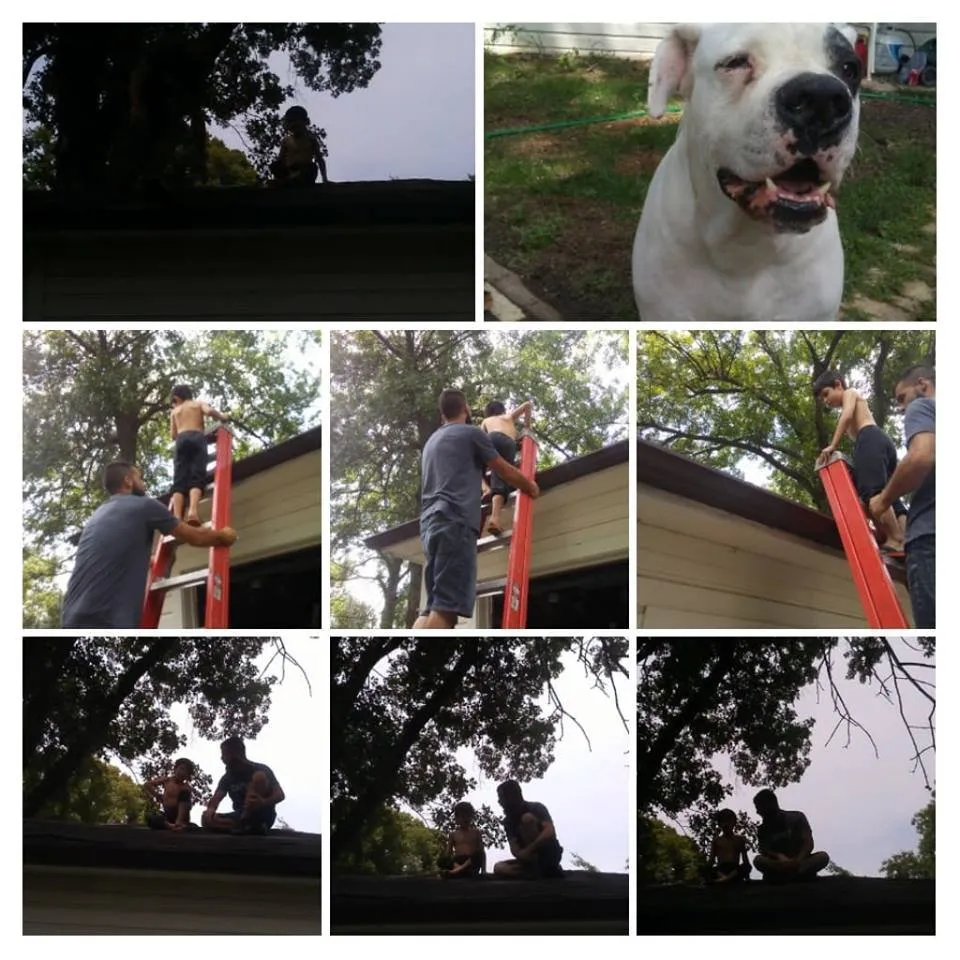 Slide of Applied Exteriors