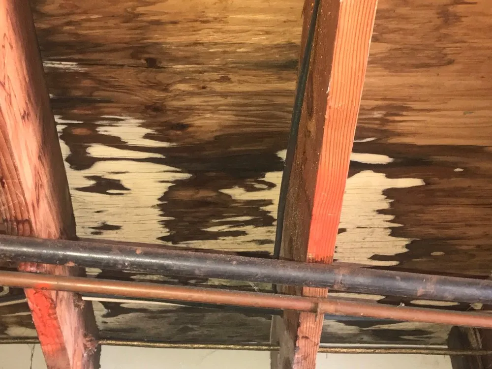 Slide of APS Roofing