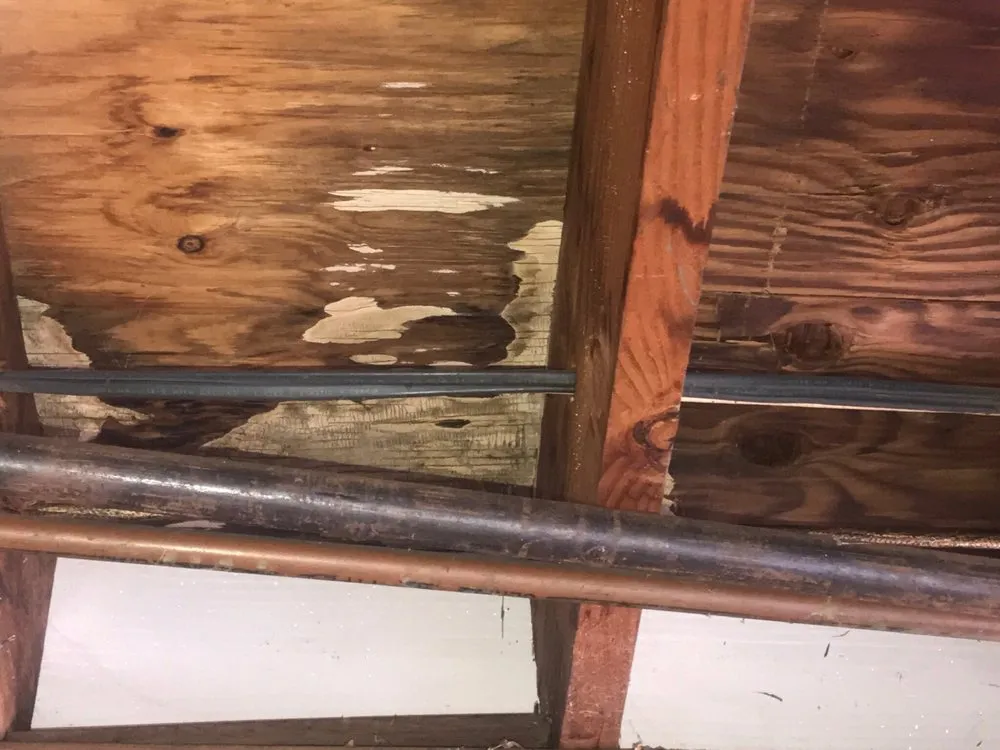 Slide of APS Roofing