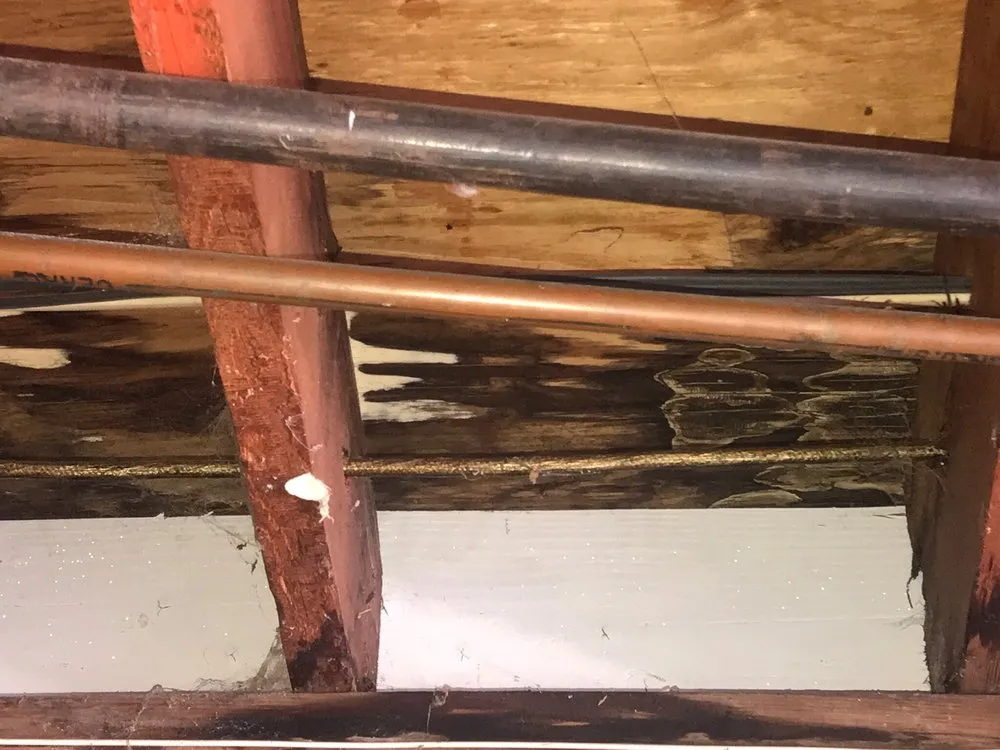 Slide of APS Roofing