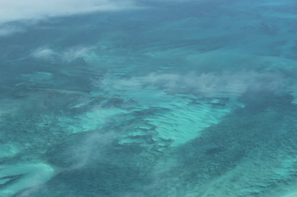 Slide of Aqua Dry Restoration