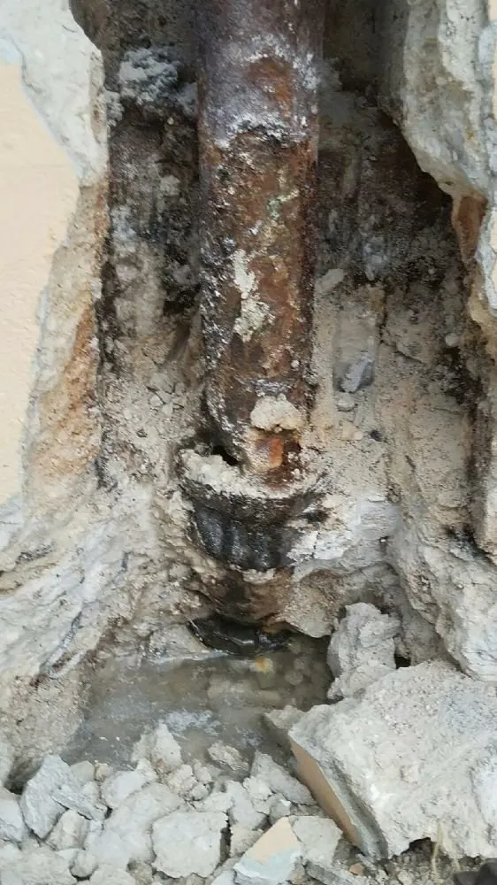 Slide of Aqua Dry Restoration