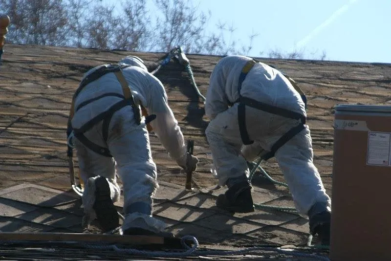 Slide of ARAC-Alliance Restoration and Consulting