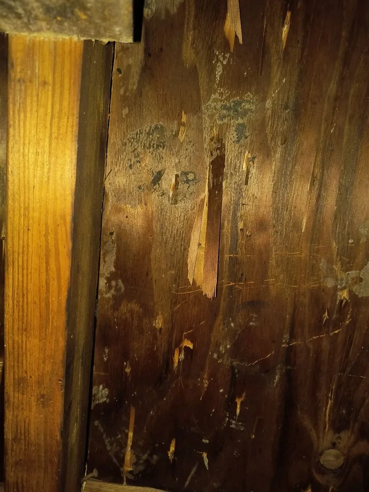 Slide of Arac roof it forward