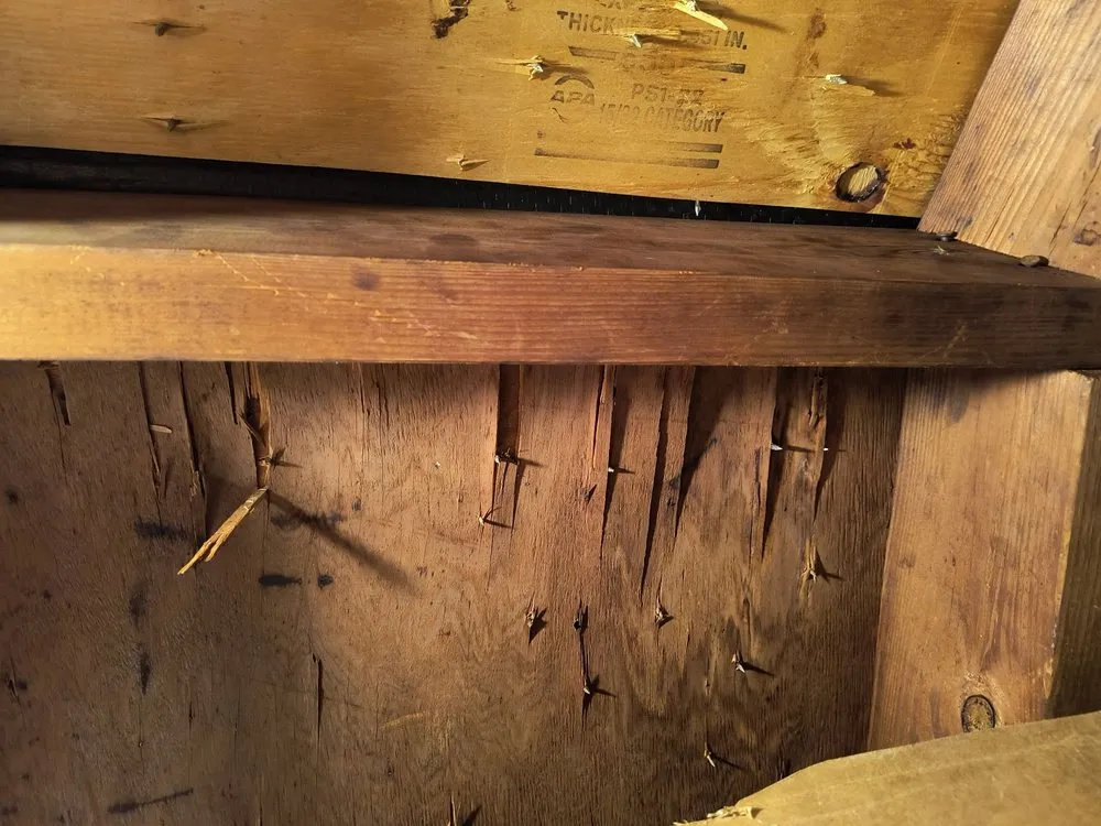 Slide of Arac roof it forward