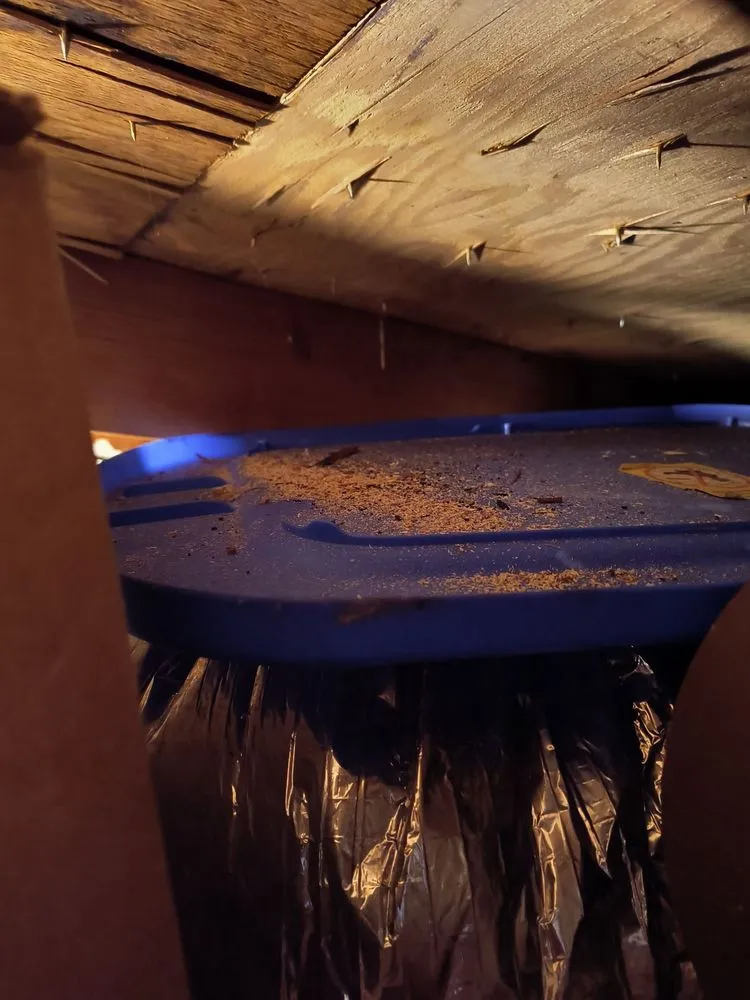 Slide of Arac roof it forward