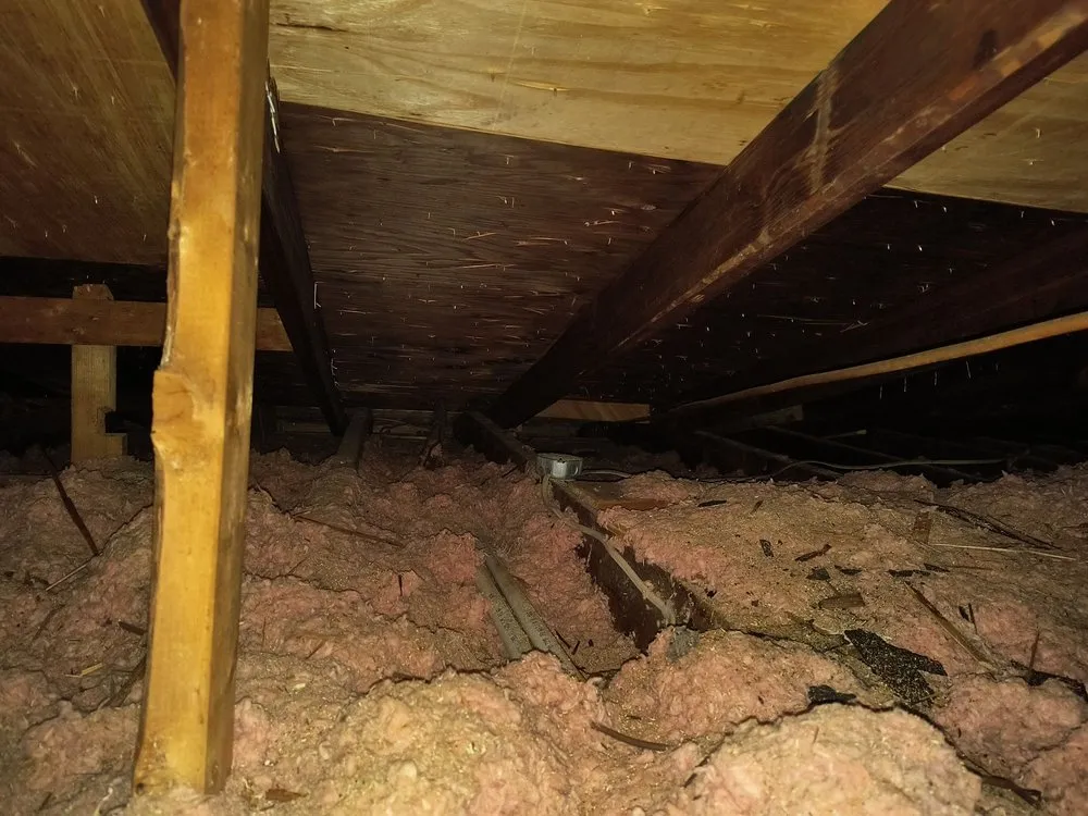 Slide of Arac roof it forward