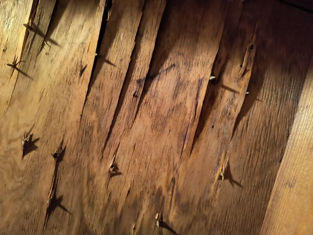 Slide of ARAC Roof It Forward