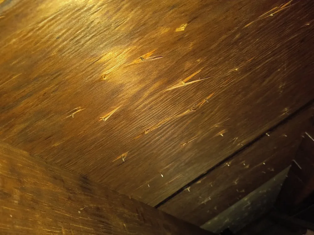 Slide of ARAC Roof It Forward