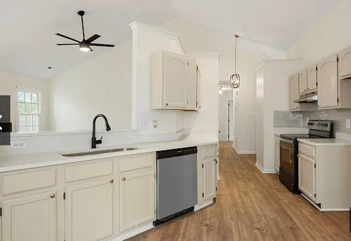 Slide of Arc Development