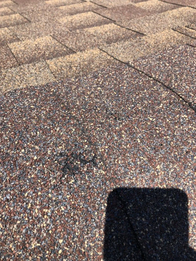 Licensed shingle roofing service with free inspection in South St. Paul, MN by Archcraft Exteriors