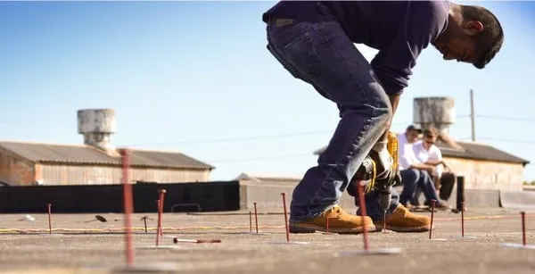 Archetype Restoration Logo