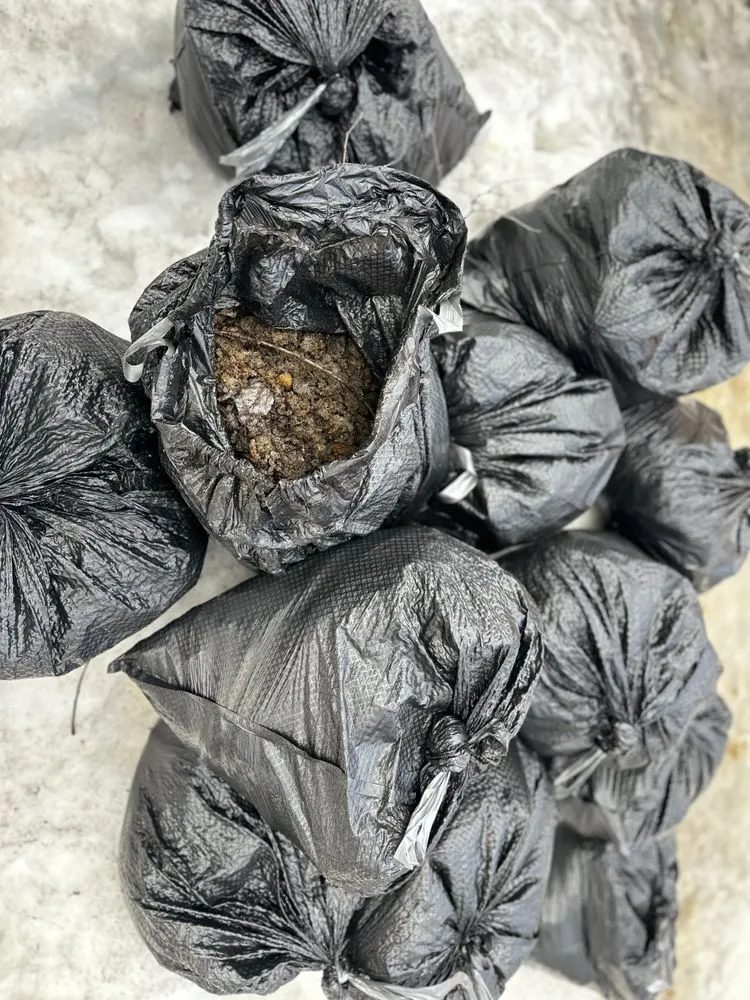 Slide of Arctic Eagle Property Maintenance