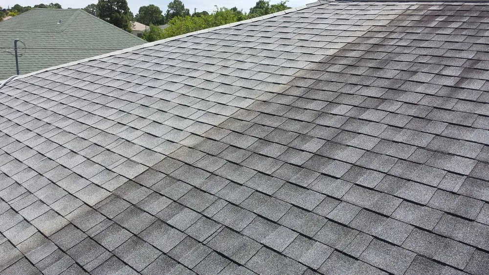 Slide of Ardor Roof Cleaning
