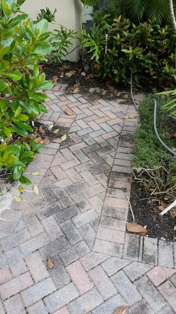 Slide of Ardor Roof Cleaning