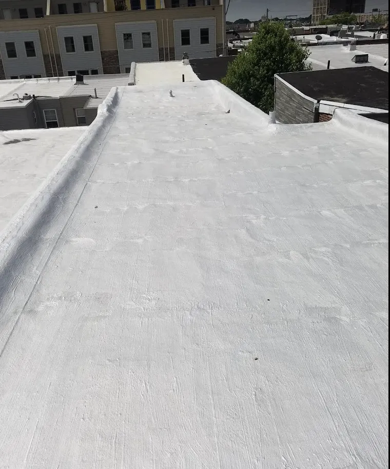 Slide of Argentina and Son Roofing