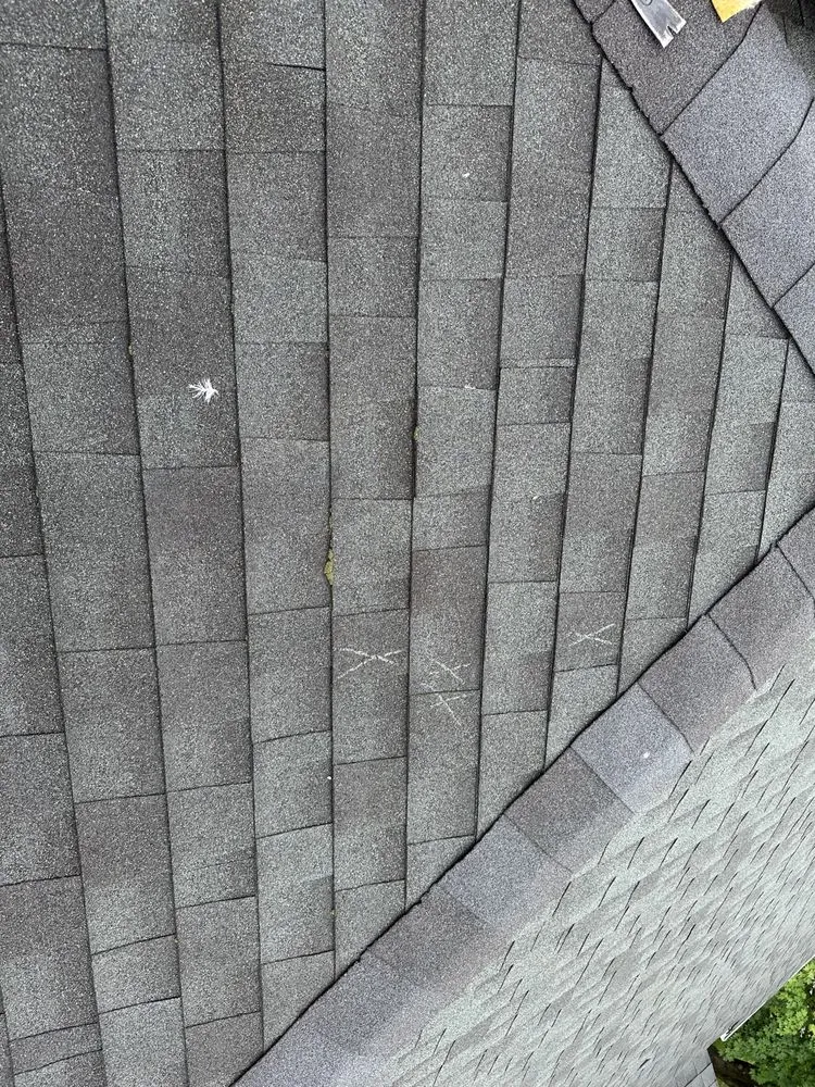 Slide of Argueta Roofing