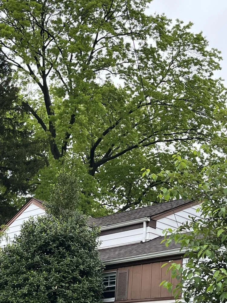 Slide of Argyle Roofing