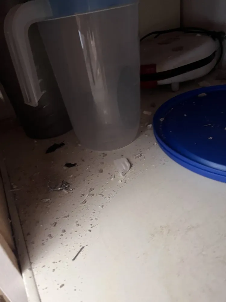 Slide of Aria Construction