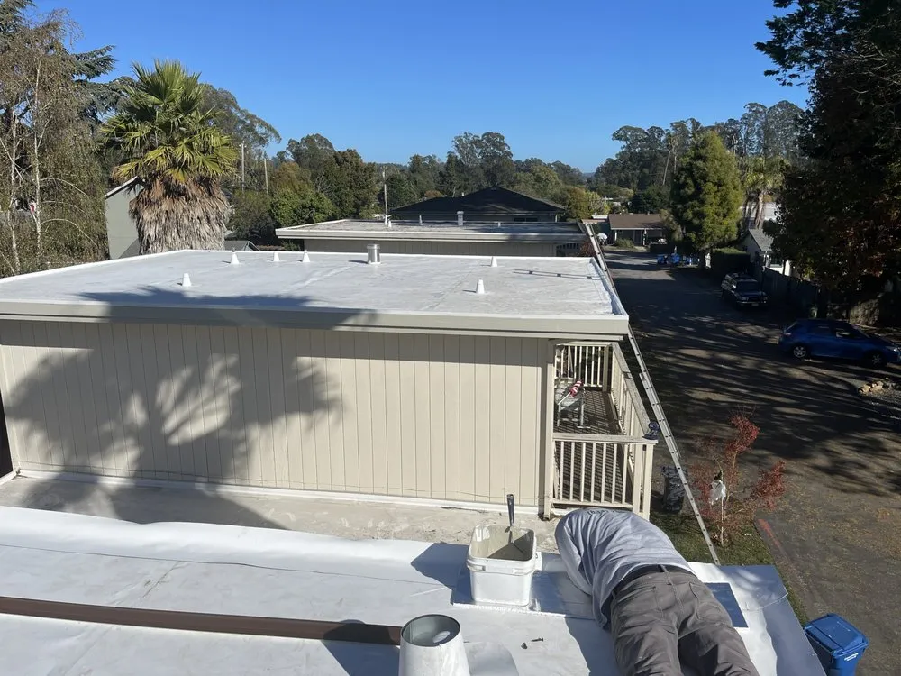 Slide of Ariana Roofing