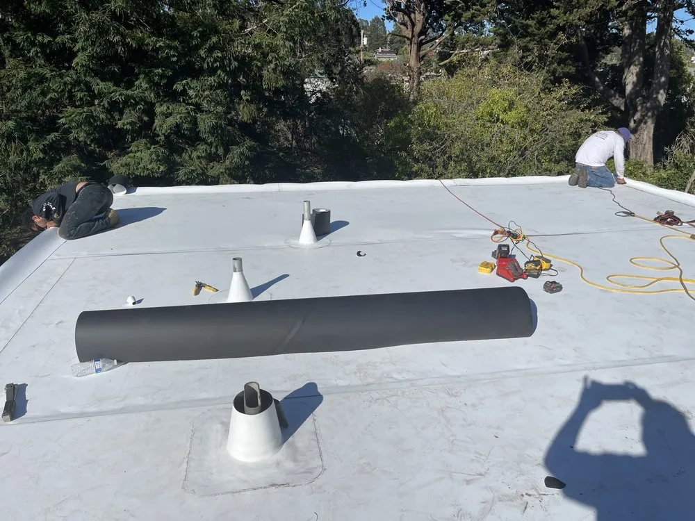 Slide of Ariana Roofing