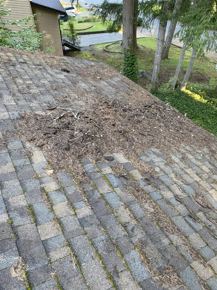 Slide of ArieN Maintenance