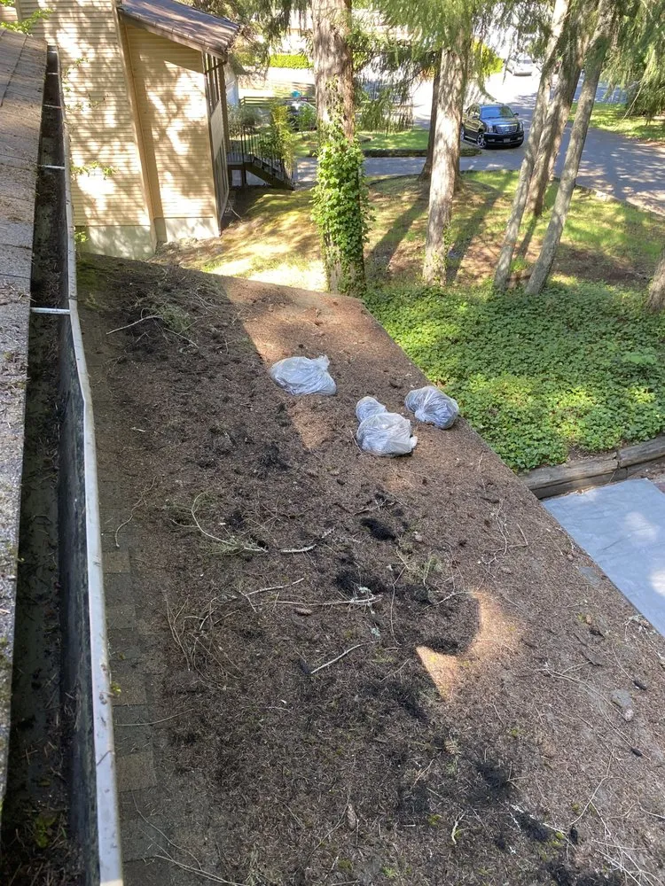 Slide of ArieN Maintenance