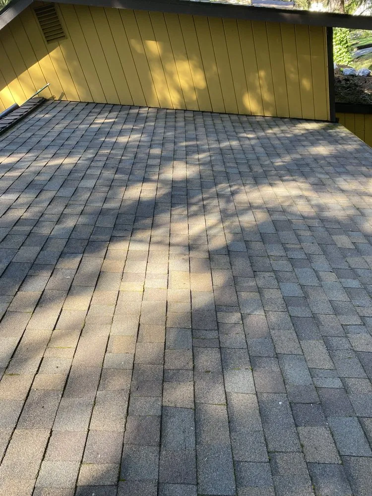 Slide of ArieN Maintenance