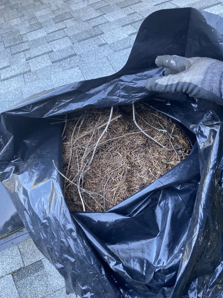 Slide of ArieN Maintenance