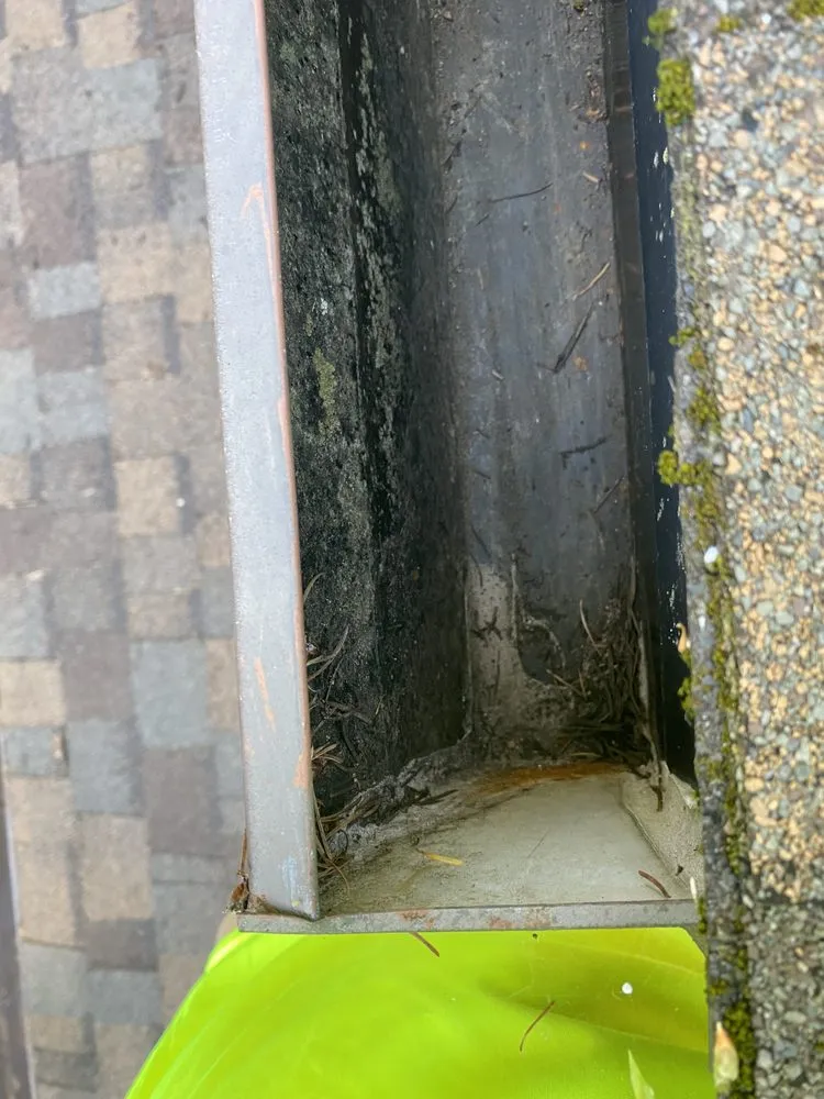 Slide of ArieN Maintenance