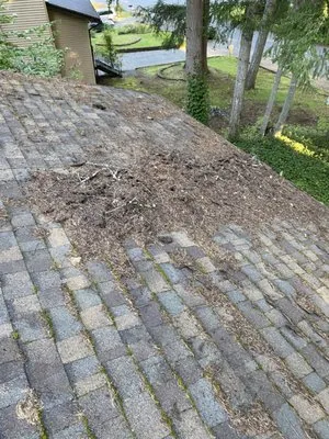 ArieN Maintenance Logo