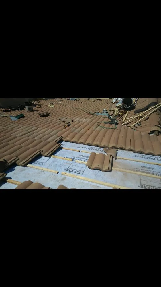 Slide of Arizona Family Painting