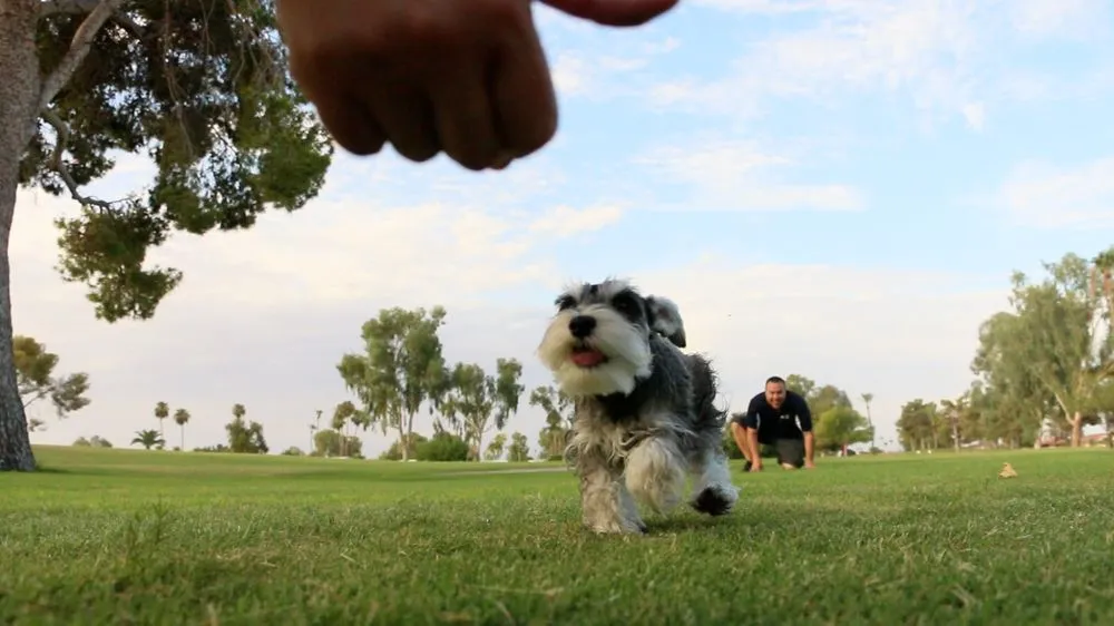 Slide of Arizona Pristine Roofing