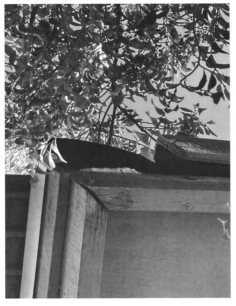 Slide of Arizona Valley Roofing