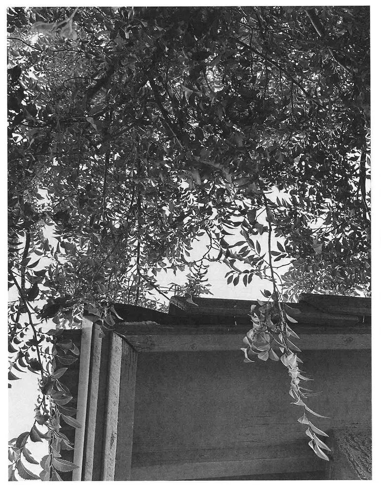 Slide of Arizona Valley Roofing