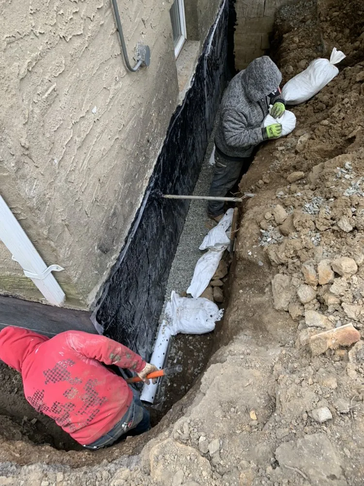 Slide of Ark general construction