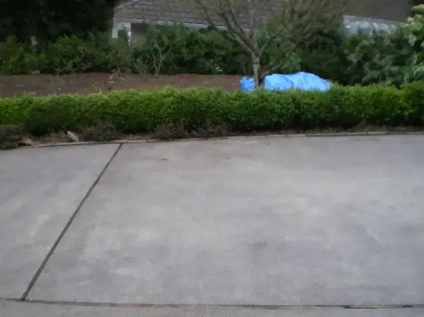 Slide of Ark Home Maintenance Cleaning