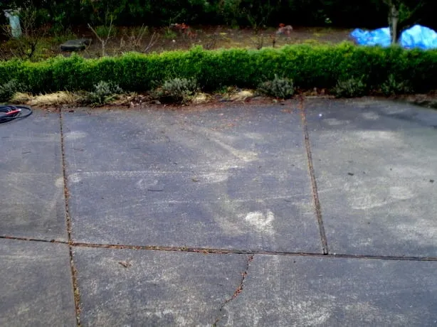 Slide of Ark Home Maintenance Cleaning