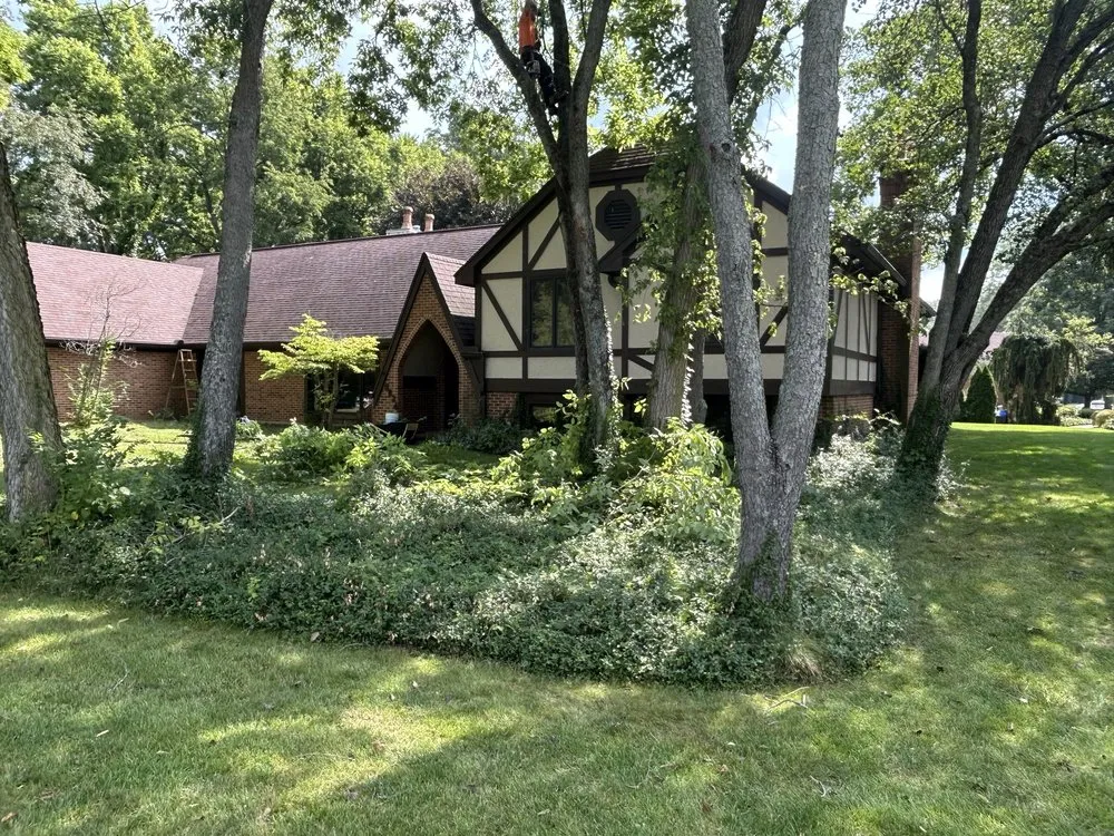 Slide of Ark Solutions