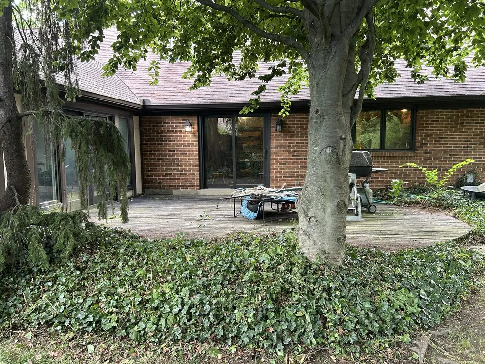 Slide of Ark Solutions