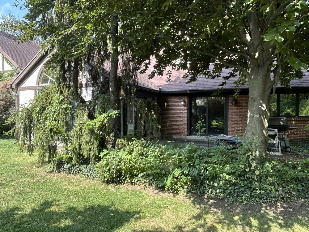 Slide of Ark Solutions