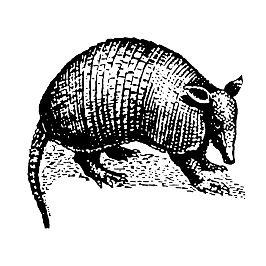 Slide of Armadillo Construction