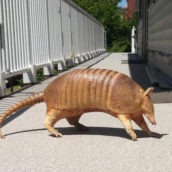 Slide of Armadillo Roofing