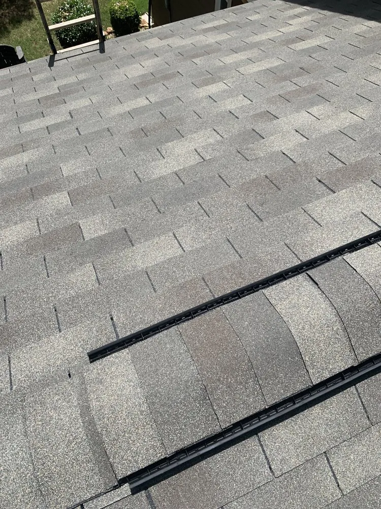 Slide of Armando Avila Reyes