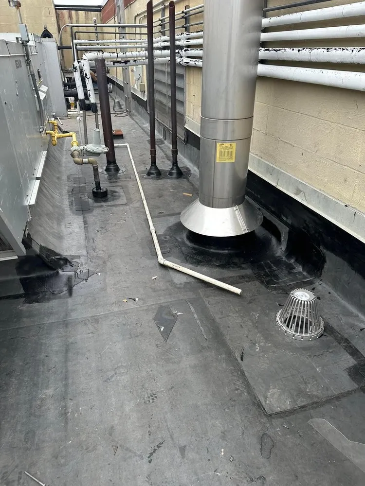 Slide of Armor Exterior Services