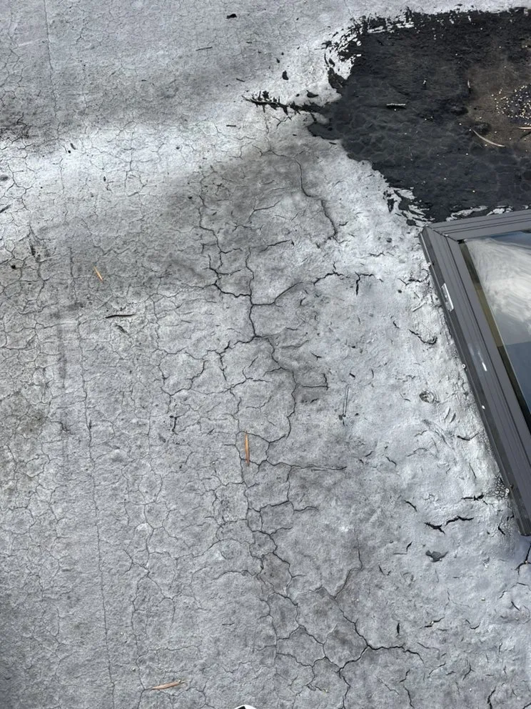 Slide of Armor Exterior Services