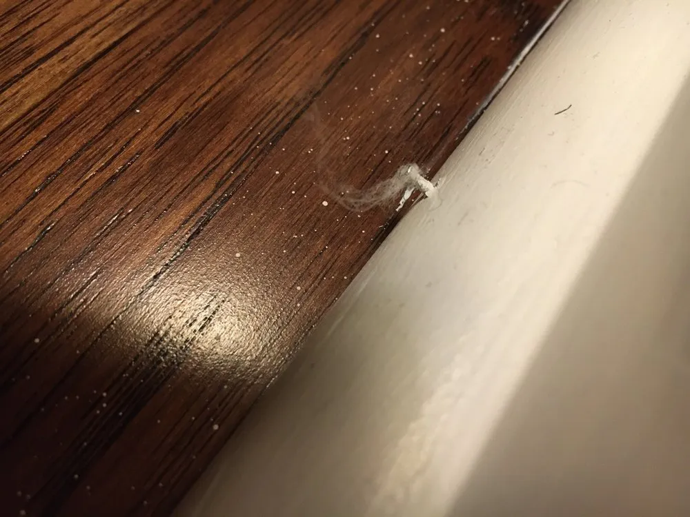 Slide of Armor Restoration and Building