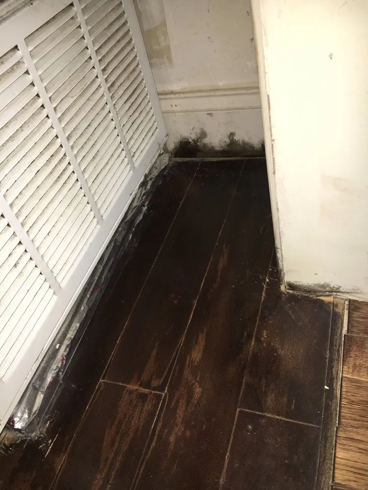 Slide of Armor Restoration and Building