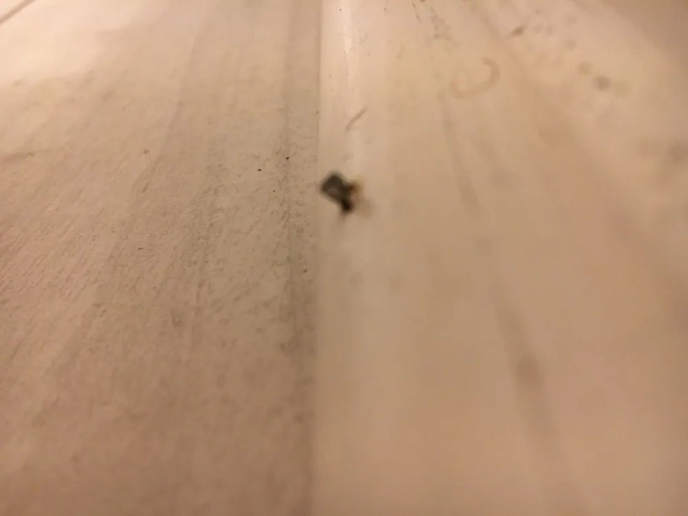 Slide of Armor Restoration and Building